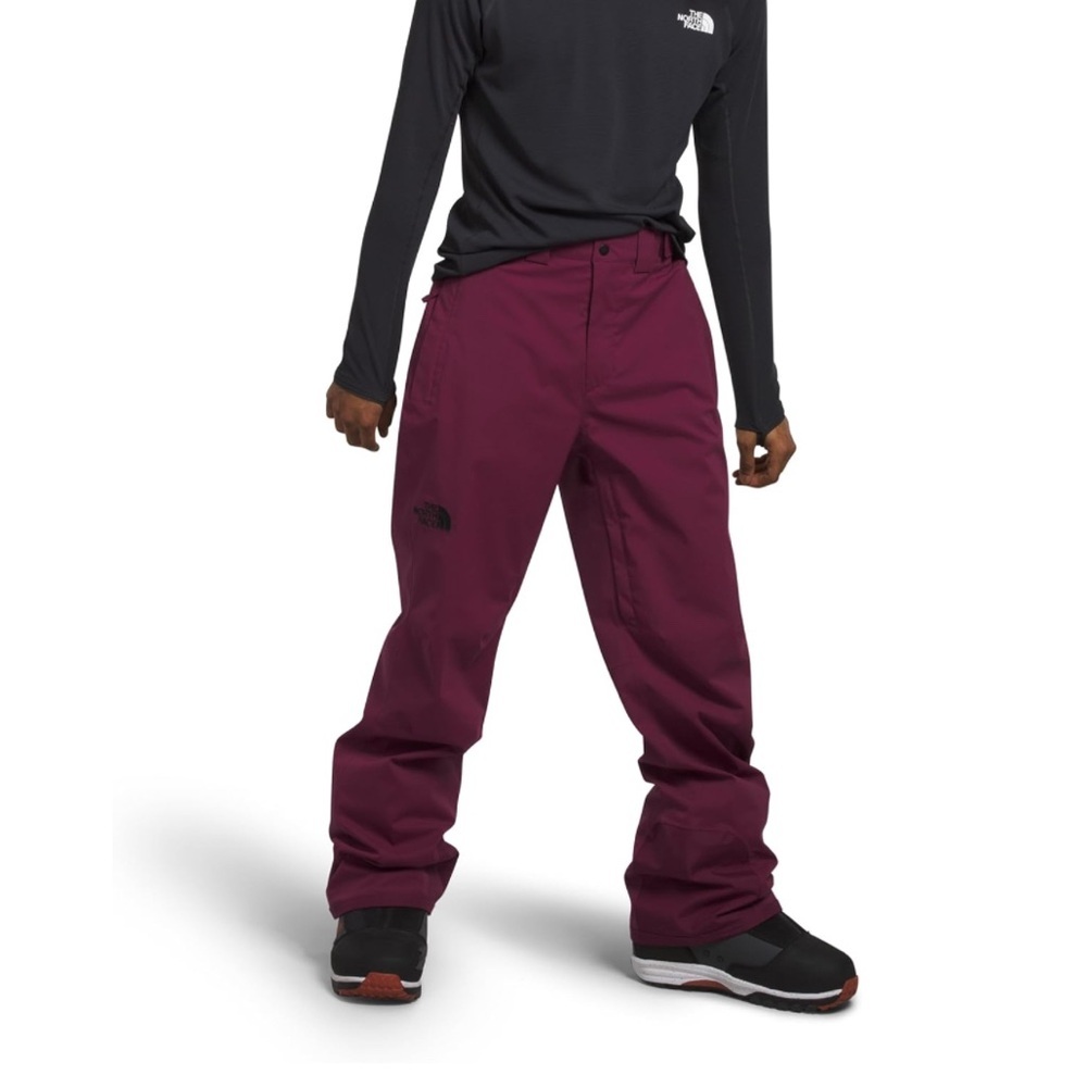 THE NORTH FACE Men's Freedom Stretch Pant, Boysenberry small/regular